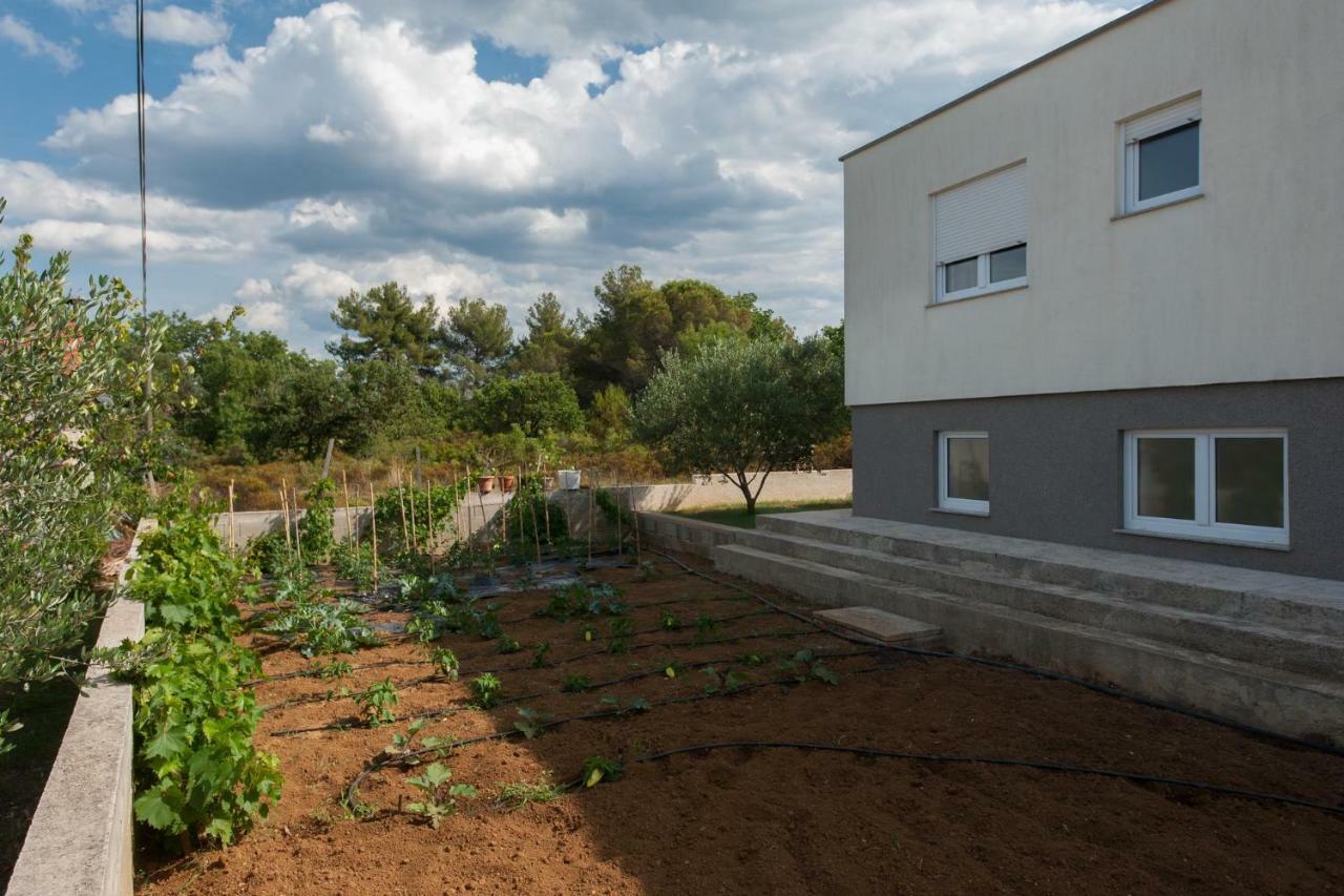 Villa Karla Debeljak - Zadar Eksteriør billede